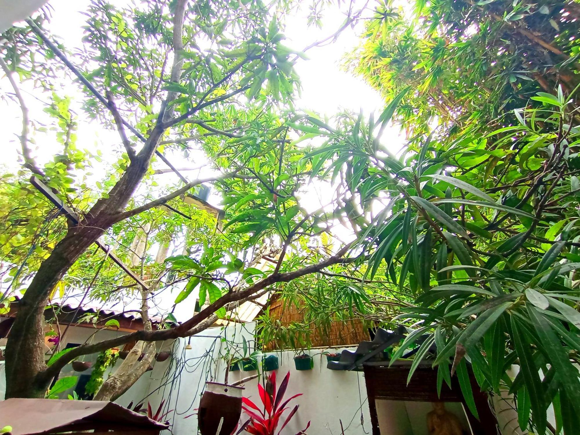 Ramesh Guesthouse Mirissa Exterior photo